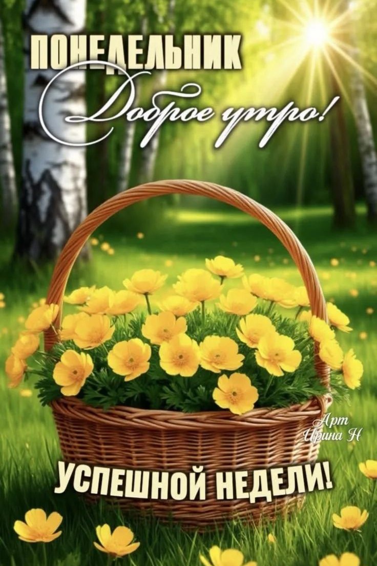 irina b. в LOOKY — Доброе утро понедельника!☕🍪 Хорошего дня и всей недели!✨🫶�