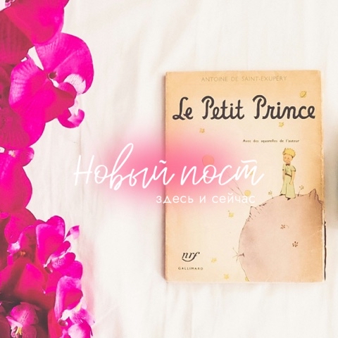 Looky_1711909261689 в LOOKY. . Если представить, чт...