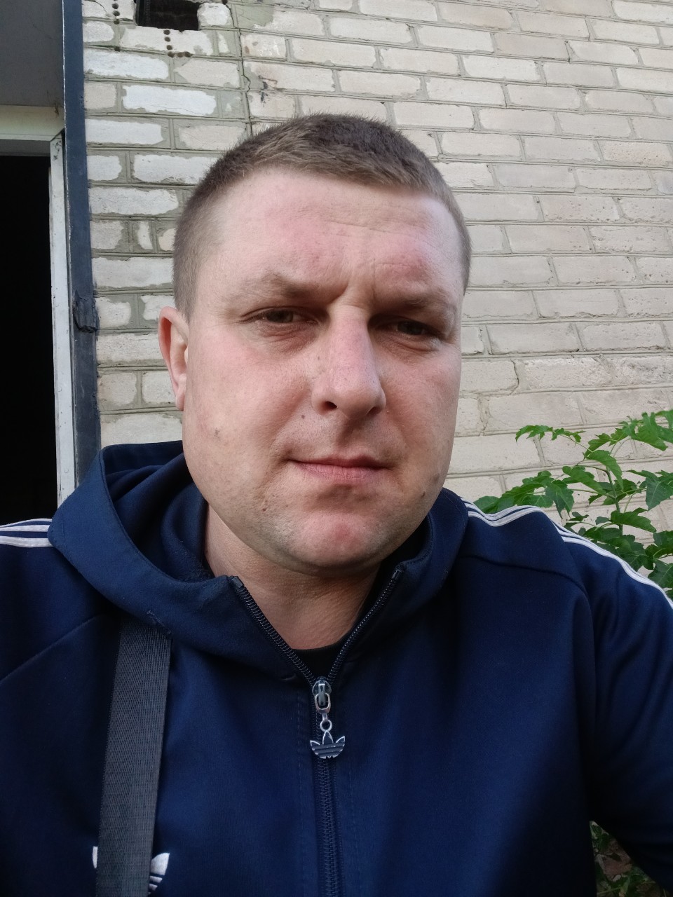 Dimas в LOOKY — публикация