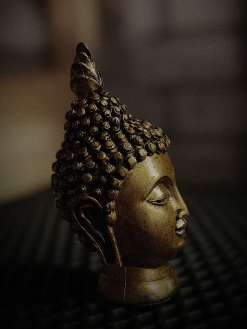 MOJO HAND в LOOKY. . [#buddha](buddha) 