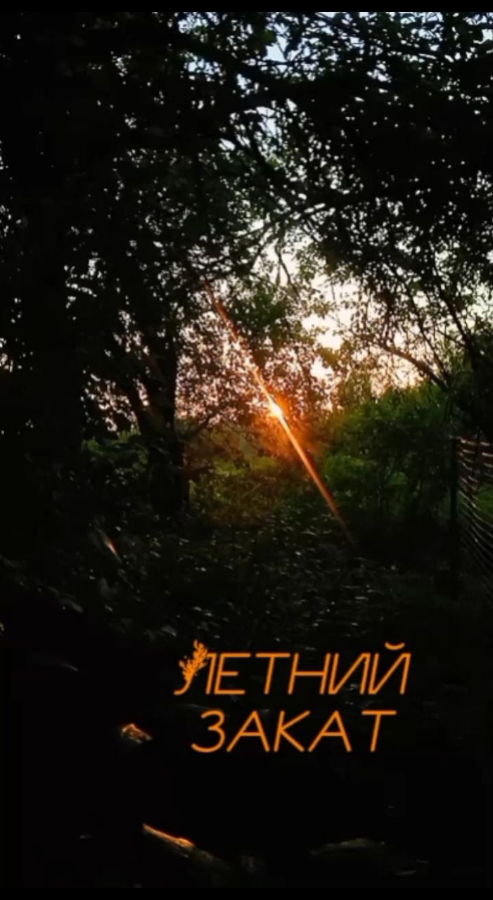 ЛисЪ в LOOKY. . Стряхнув забот дневн...