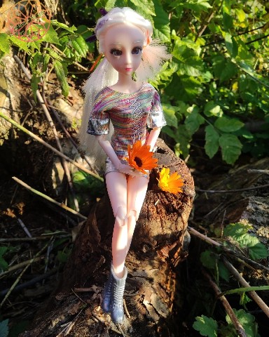 Anna Mirage в LOOKY. #кукла,#куклы,#doll,#шарнирныекуклы,#articulateddolls,#кукладлядуши,#куколки,#кукольныймир,#кукольнаяминиатюра,#кукольныефотосессии,#dollphotography,#dollcollector,#dollphotogallery,#ооак,#ooak,#dollart,#puppetminiature,#нарядыдлякукол,#одеждадлякукол,#dollclothes,#аксессуарыдлякукол,#кукольнаямода,#кукольнаяодежда,#кукольнаяобувь,#кукольныйгардероб,#кукольноеплатье,#кукольныйнаряд,#куклаицветы,#ведана. Последняя осенняя пр...
