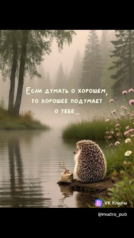 Senya в LOOKY — #Хорошее #будет #думать [#отебе ](отебе)