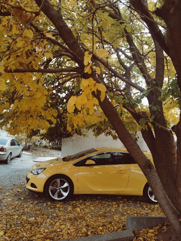 Алёна в LOOKY. #Кубань,#осень,#природа,#nature,#autumn,#лупа,#video,#видео. Машинка мимикрирует�...