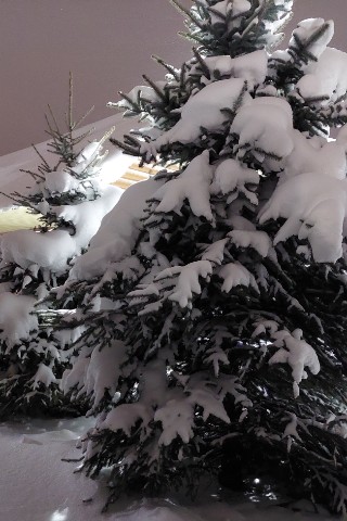 master_sundukov в LOOKY. . Зимняя сказка.😊🎄🎄...