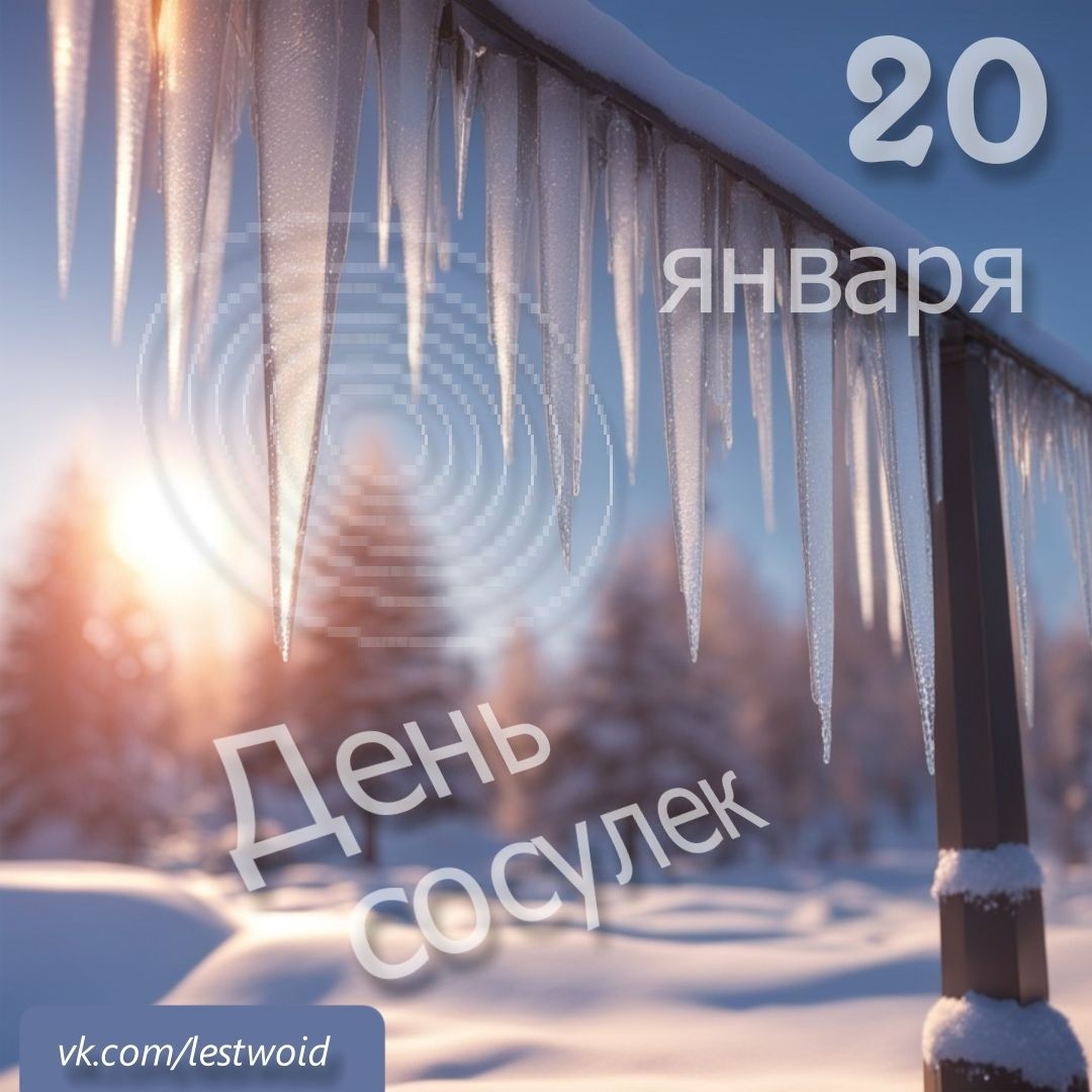 LestWoid в LOOKY — 20 января - День сосулек

#зима #деньсосулек #сульки