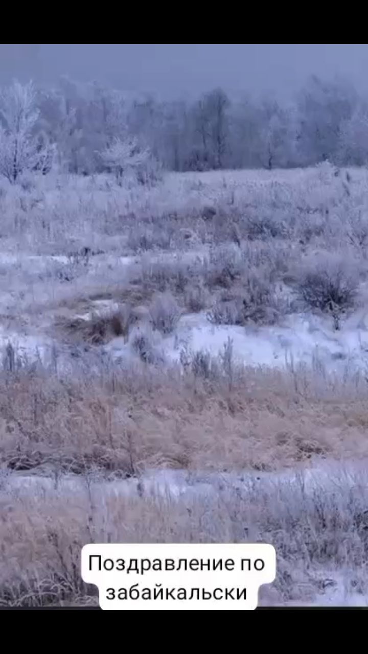 Looky_1717251506044 в LOOKY. . С Наступающим Новым ...