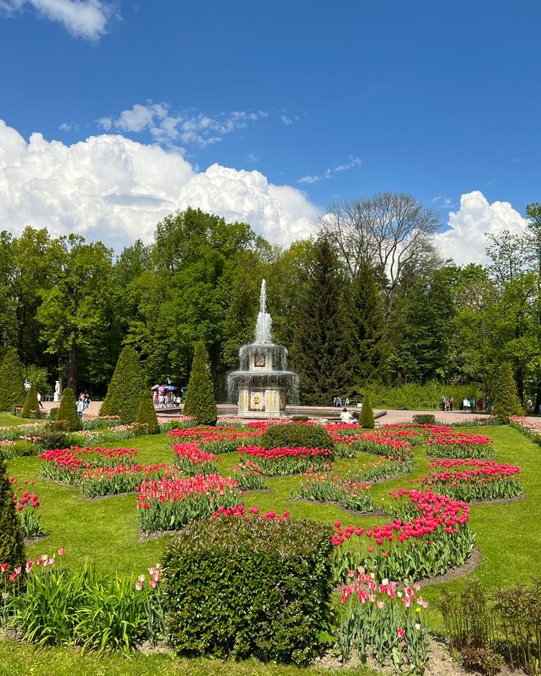 onedaytripspb в LOOKY — публикация