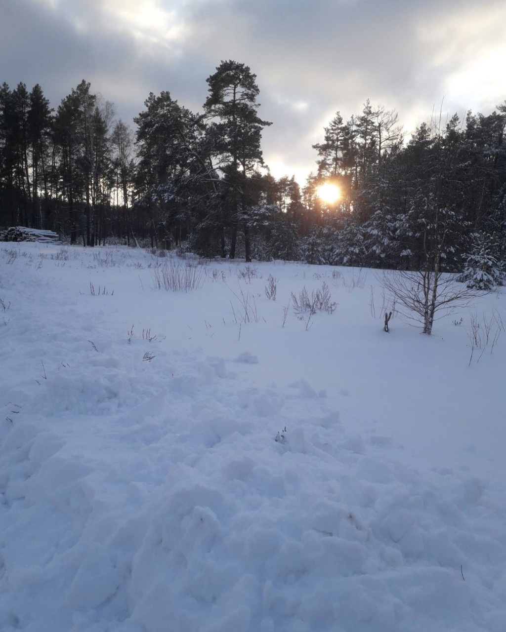 #природа [#беларусь](беларусь) 