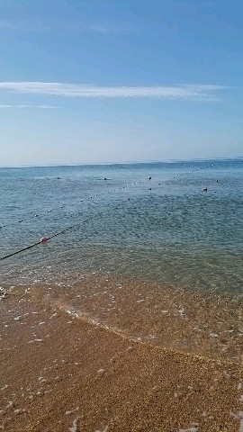 Виталий Галущак в LOOKY. #МирБЕЗграниц,#Галущастье,#PogodinGroup. 🌊🐬🏖️ 9 сентября 2...