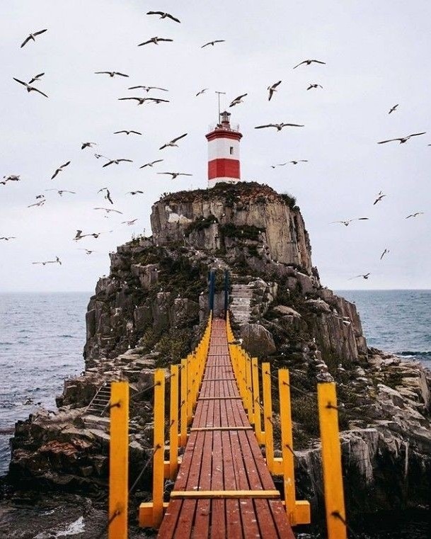 olga_solomchak в LOOKY — 🚢 День 1️⃣9️⃣

Я всегда мечтала жить у моря;
Бесконечный бе