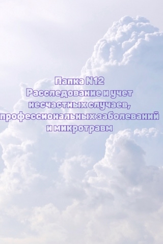 Looky_173391879397038 в LOOKY. #охранатруда,#несчастныеслучаи,#расследование. Часть 1.

1	Расследо...