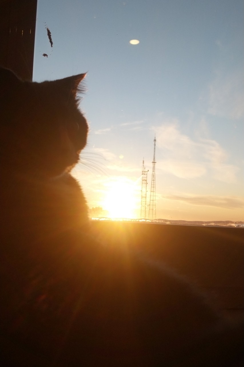 polovina_crevetca в LOOKY — публикация