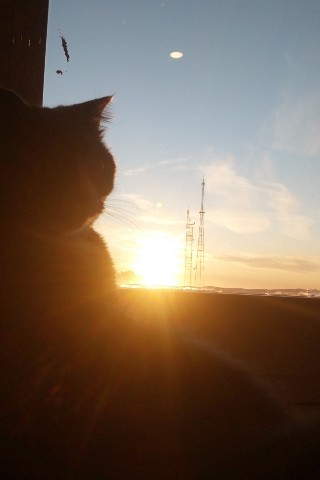polovina_crevetca в LOOKY. . 
