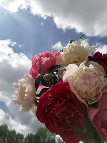 astro_darika в LOOKY. . ✨ Достаточно всего о...