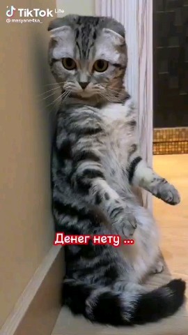 nitase87 в LOOKY. . 