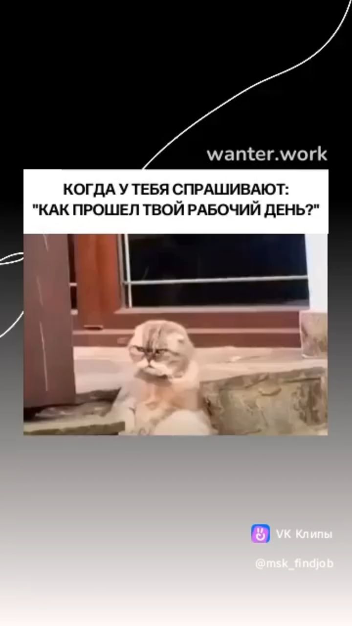  в LOOKY — публикация