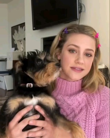 SophiaLinda в LOOKY. . I love my pets 🐶🤩
