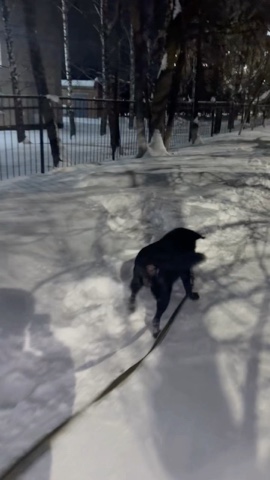 angel_aliushka_demon в LOOKY. . 