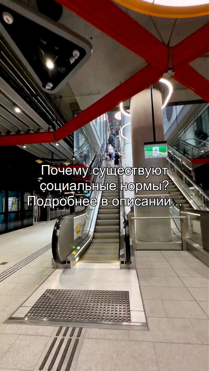 Looky_178372234553153 в LOOKY. #нормы,#социум,#порядок,#психология,#общество. Ты следуешь социальн...