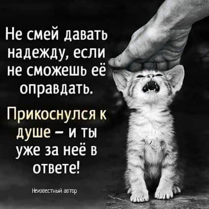 Zoozashita_1784473998Masha в LOOKY — публикация