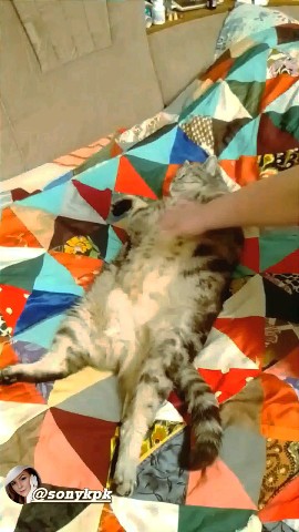 edamore.com_ в LOOKY. . 