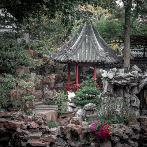 oleg.yusupov в LOOKY. #шанхай,#shanghai,#китай,#china,#азия,#город,#архитектура,#путешествия,#travel,#travelphoto,#путешествие,#мирвокруг,#вокругсвета,#разгребаяархивы. Сад Юй Юань (Сад рад...