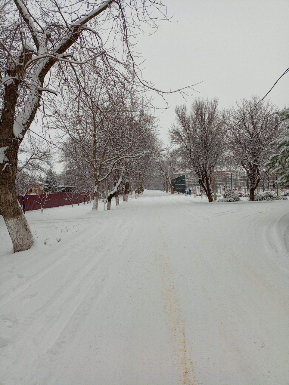 Олеся в LOOKY — публикация