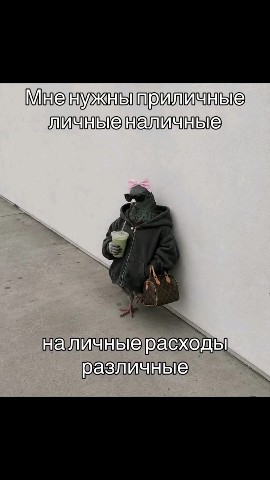 ВОЛК СЕРЫЙ
