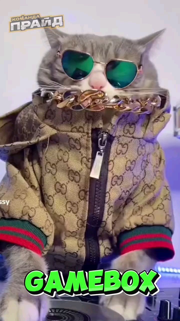 НАТАЛЬЯ  MANEKI NEKO in LOOKY. . Накопи 30т$
Новая иг...
