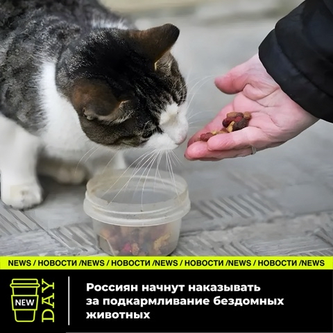 Looky_1706091420095 в LOOKY. #NewDay_news. Астраханская область...