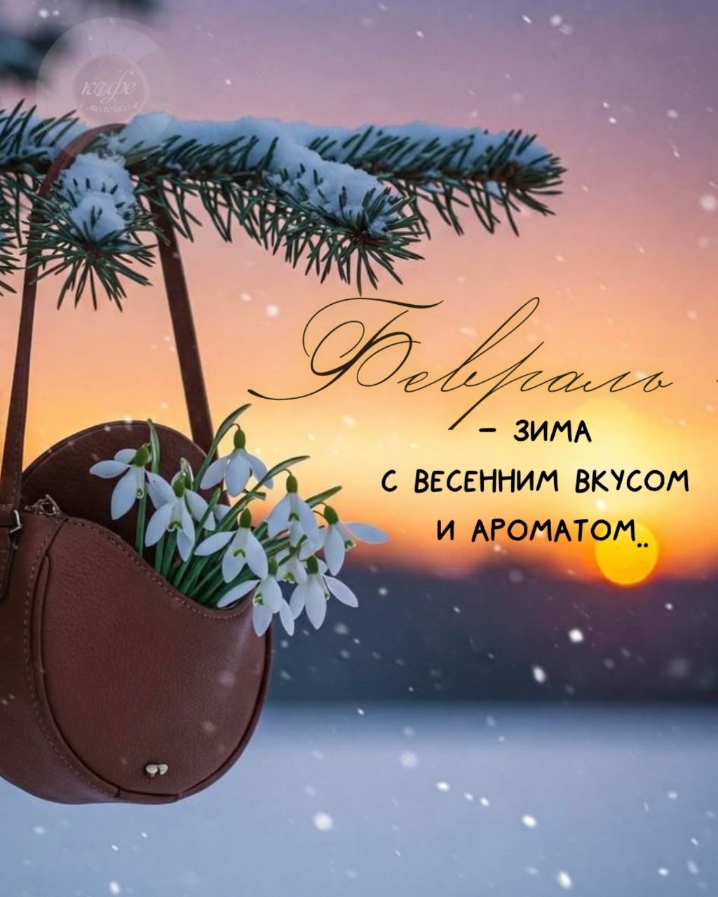 Олик Саргош в LOOKY — публикация