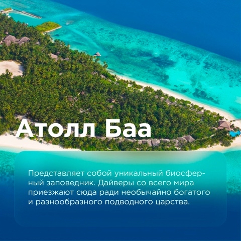 Looky_1688624230963 в LOOKY. . Россыпь тропических ...
