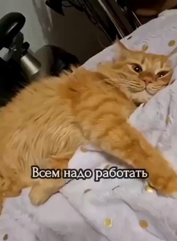  в LOOKY — Хорошего вечера 🥰