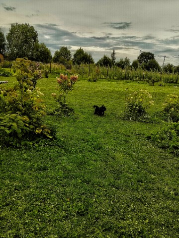 Vladova_T в LOOKY. . 