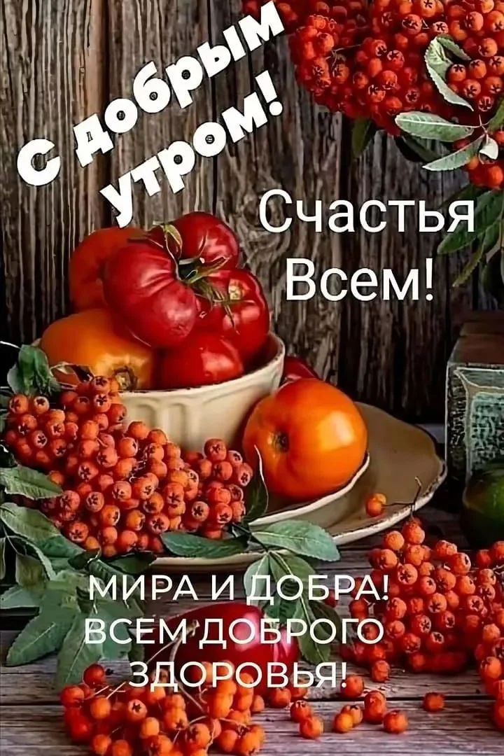 Сириус в LOOKY — публикация