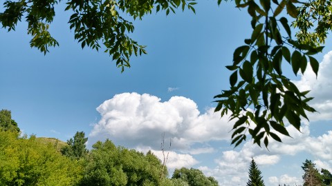 snovozhilov91 в LOOKY. #утро,#лето,#июль,#природа,#наприроде,#лето2026,#июль2026,#фото,#вкадре,#кадры,#погода,#прогулка,#Россия,#Татарстан,#Бугульма,#проезд,#прогулка. Лето прекрасно, ярка...
