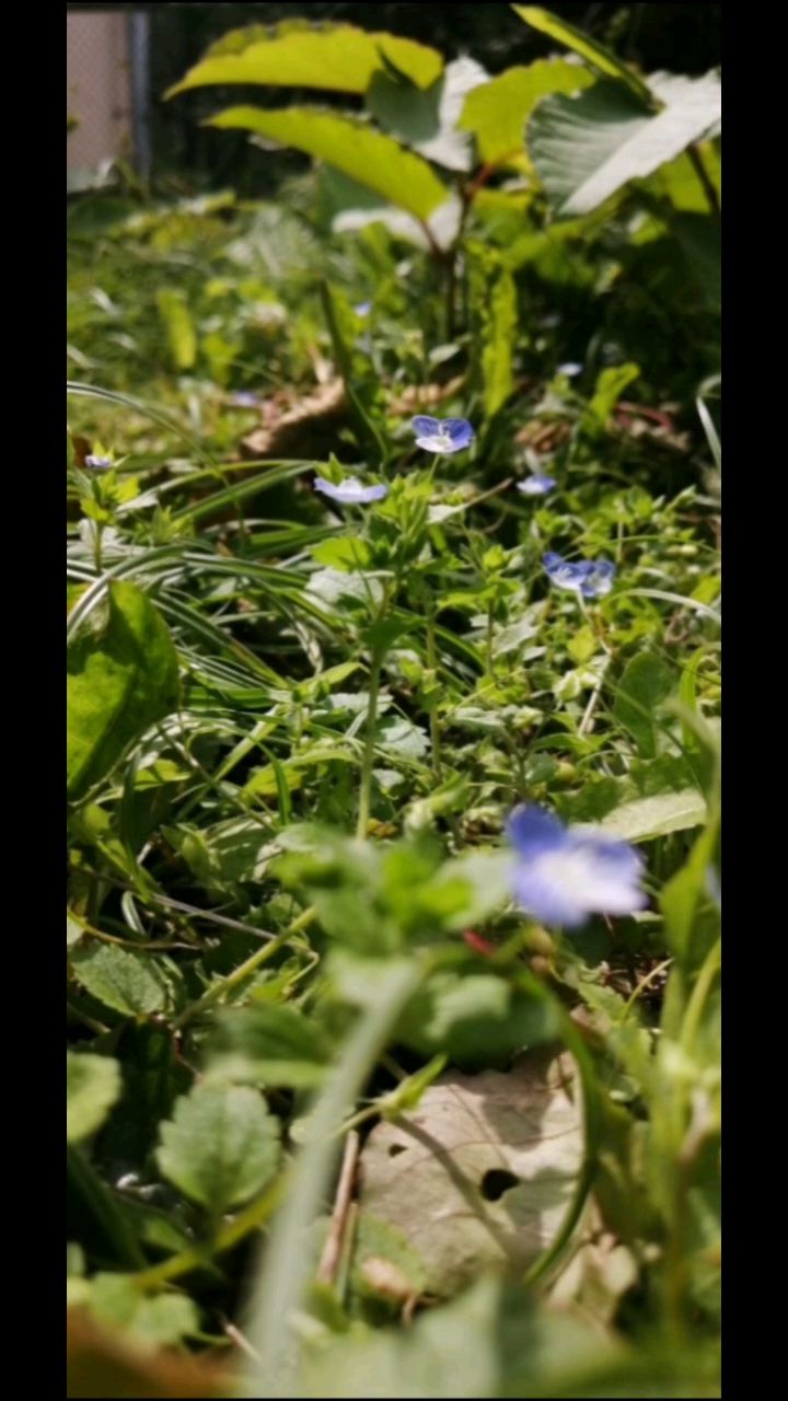 WAY WRONW ME in LOOKY. #дружба,#лето,#отдых,#медитация,#лофи,#lofi. 🛴🏃‍♀️

#Природа #д...