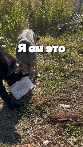 Ирина Юрьевна в LOOKY — 🙏‼️🆘‼️‼️‼️‼️🆘🆘🆘‼️‼️🙏
Друзья, у нас через 2 дня оплата 