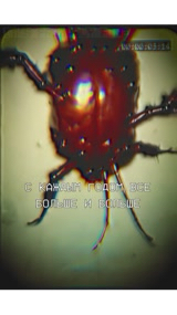 Its Probably Fine в LOOKY. . Домашние Вредители |...