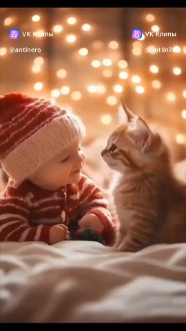 Котлин_Остров_Котов_Кронштадт в LOOKY. . Лучший подарок 🎁 На...