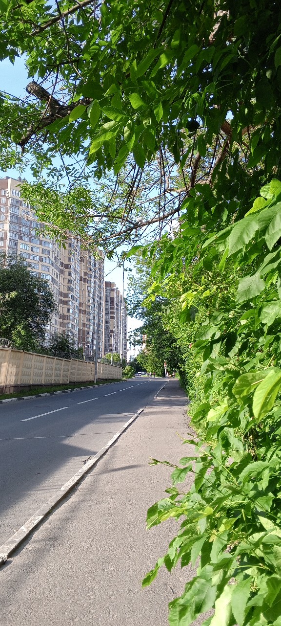 Olguita в LOOKY — публикация