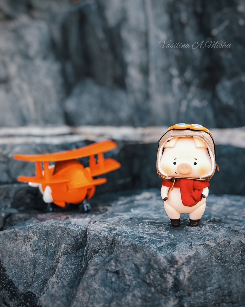 Маленький путешественник 🐷🛩️⛰️

#popopig #pigpopo