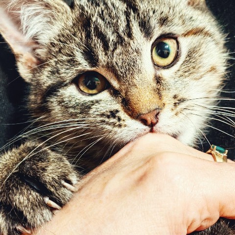 happy.asya.look в LOOKY. . Мама, иди обниму теб...