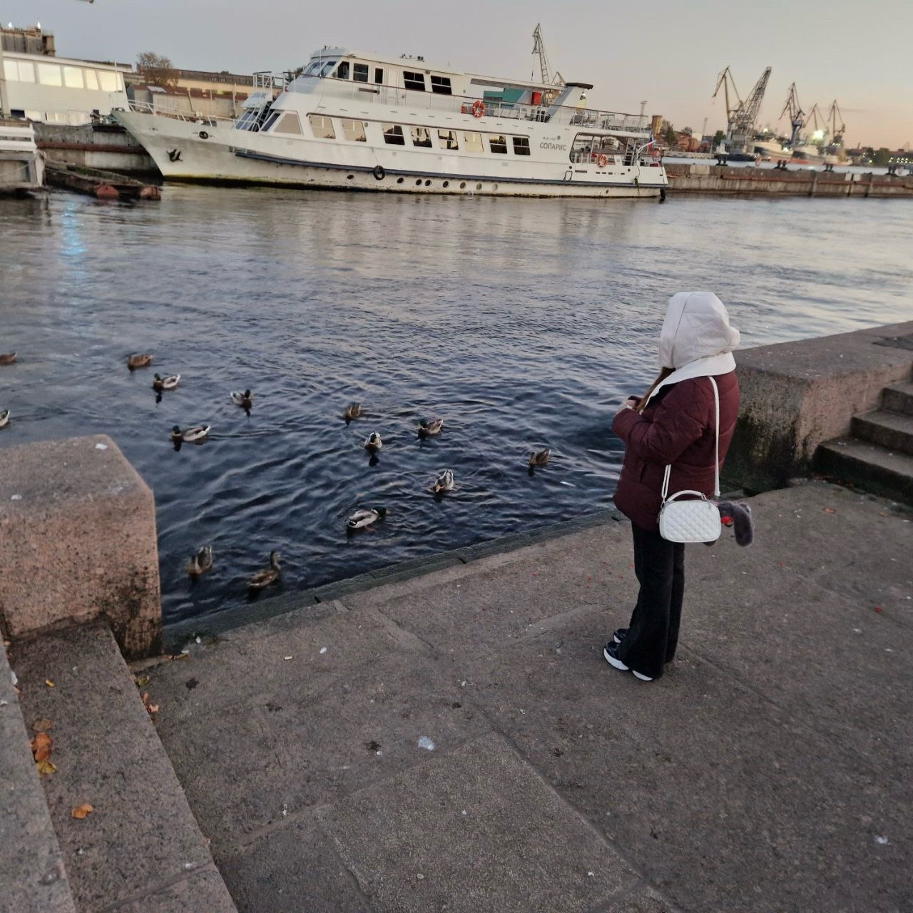 astro_darika в LOOKY. . Иногда свернуть на д...