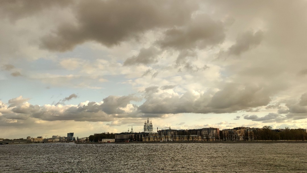 buser.spb.ru в LOOKY — публикация