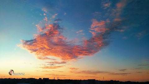 edamore.com_ в LOOKY. . 