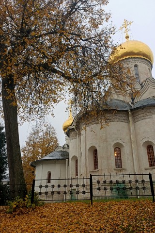 ed_fridrikhson в LOOKY. . Золото осени в Савви...