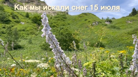 Flen в LOOKY. . Адыгея! [#looky_reel...