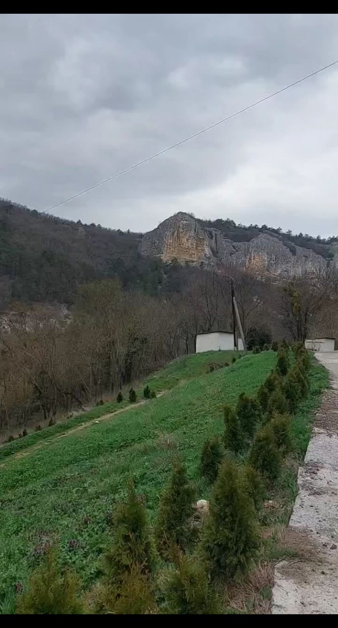 Автобродяги in LOOKY. . Крым - там, где шашл...